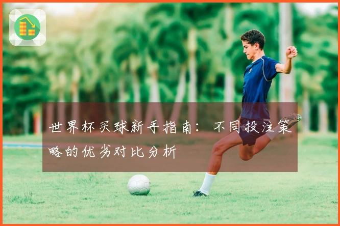世界杯买球新手指南：不同投注策略的优劣对比分析