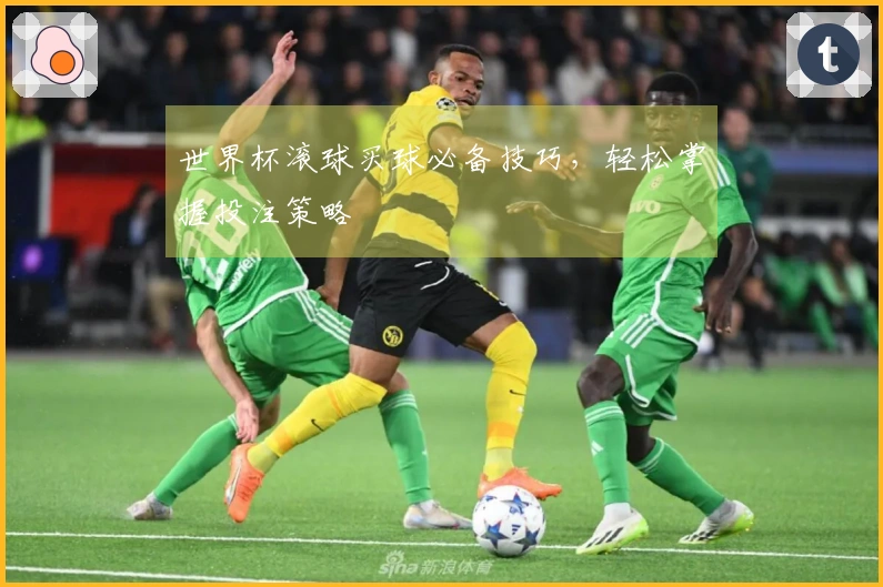 世界杯滚球买球必备技巧，轻松掌握投注策略