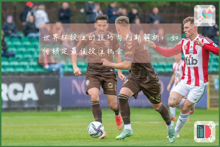 世界杯投注的技巧与判断解析，如何锁定最佳投注机会