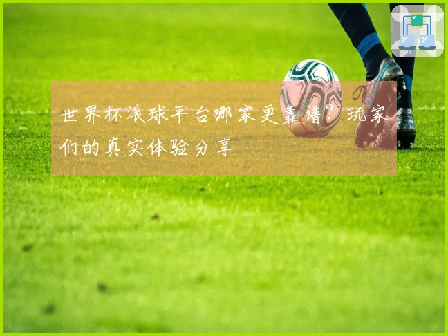 世界杯滚球平台哪家更靠谱？玩家们的真实体验分享