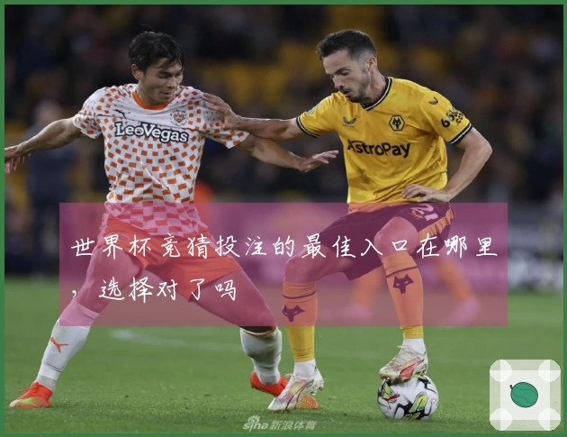 世界杯竞猜投注的最佳入口在哪里，选择对了吗