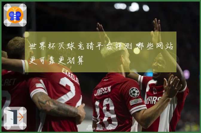 世界杯买球竞猜平台评测 哪些网站更可靠更划算