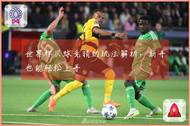 世界杯买球竞猜的玩法解析，新手也能轻松上手