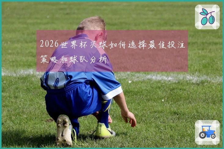 2026世界杯买球如何选择最佳投注策略和球队分析