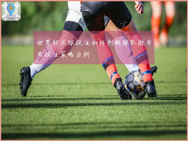 世界杯买球投注如何判断球队胜率及投注策略分析