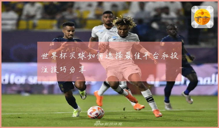 世界杯买球如何选择最佳平台和投注技巧分享