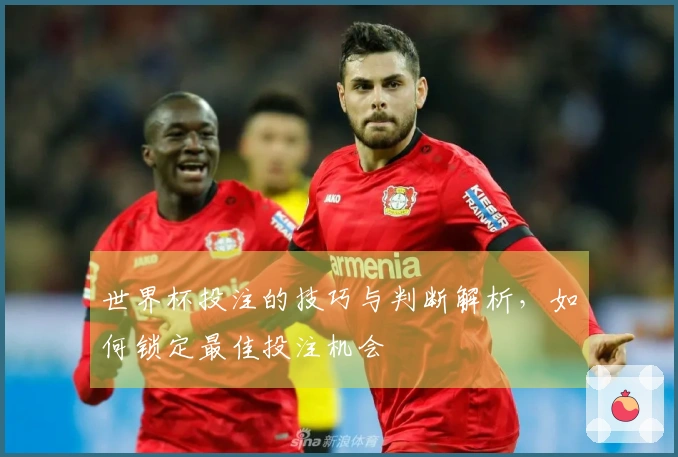 世界杯投注的技巧与判断解析，如何锁定最佳投注机会