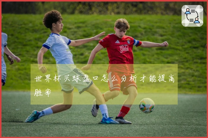 世界杯买球盘口怎么分析才能提高胜率