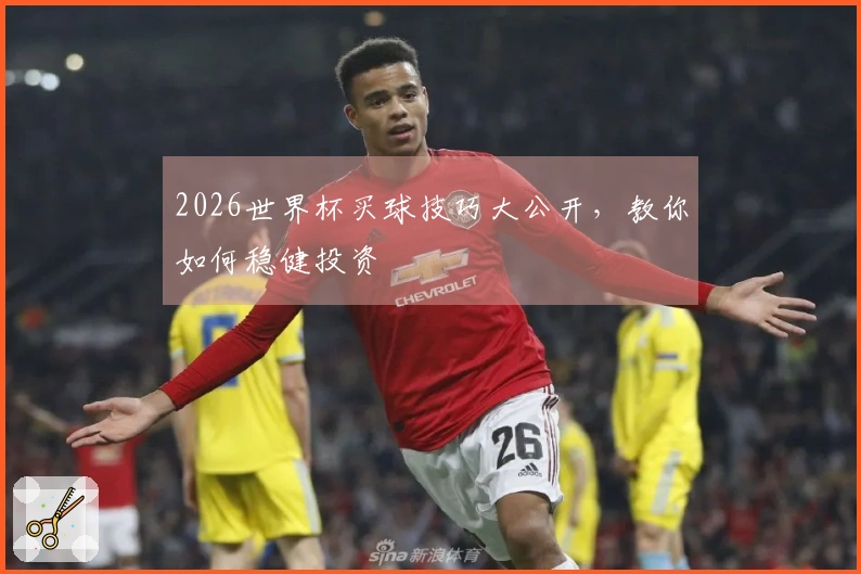 2026世界杯买球技巧大公开，教你如何稳健投资