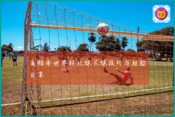 高赔率世界杯让球买球技巧与经验分享