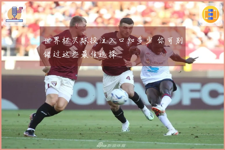 世界杯买球投注入口知多少 你可别错过这些最佳选择