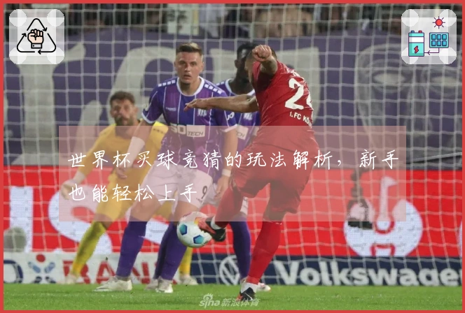 世界杯买球竞猜的玩法解析，新手也能轻松上手