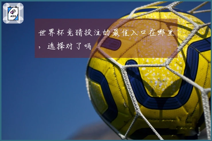 世界杯竞猜投注的最佳入口在哪里，选择对了吗