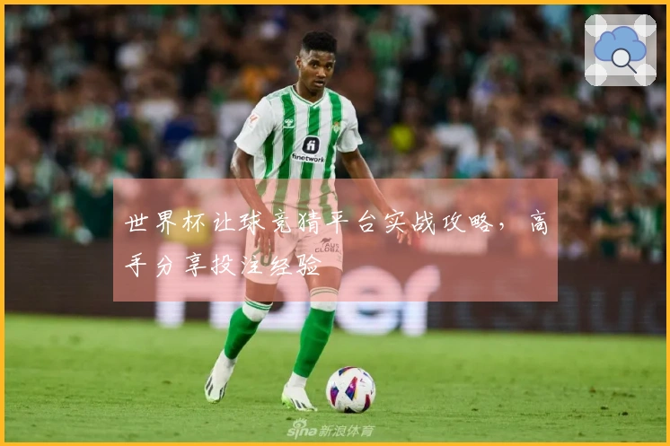 世界杯让球竞猜平台实战攻略，高手分享投注经验