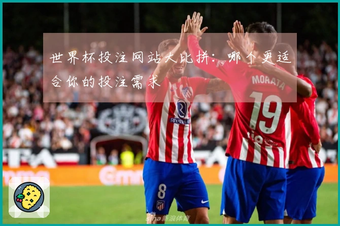 世界杯投注网站大比拼：哪个更适合你的投注需求