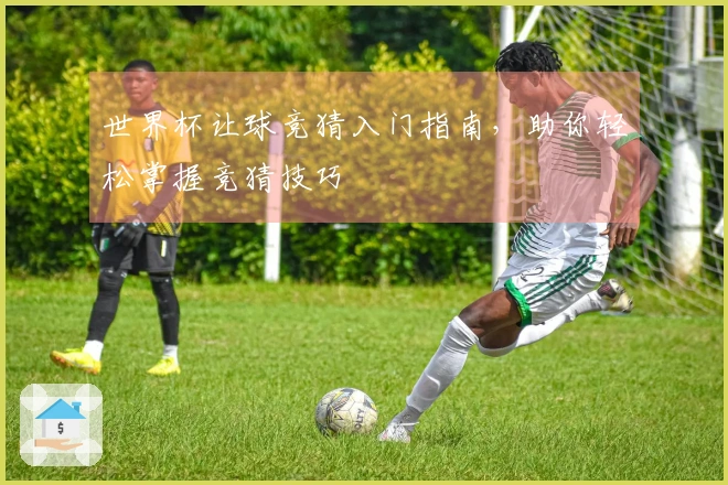 世界杯让球竞猜入门指南，助你轻松掌握竞猜技巧