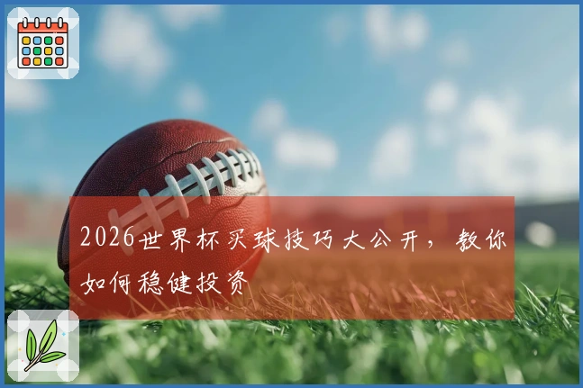 2026世界杯买球技巧大公开，教你如何稳健投资