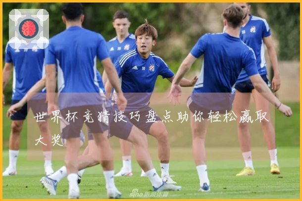 世界杯竞猜技巧盘点助你轻松赢取大奖