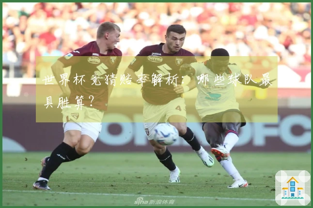 世界杯竞猜赔率解析：哪些球队最具胜算？