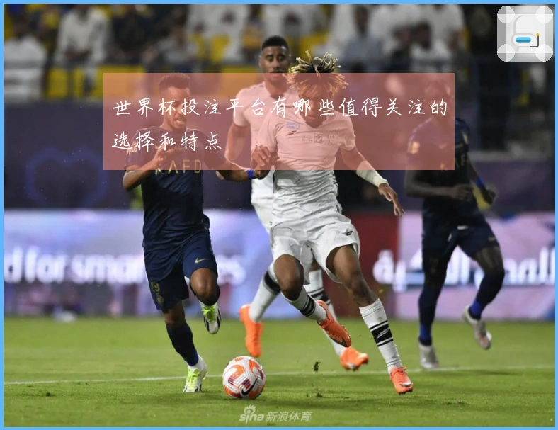 世界杯投注平台有哪些值得关注的选择和特点