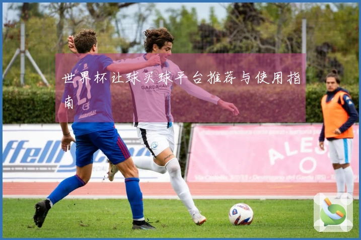 世界杯让球买球平台推荐与使用指南
